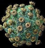 艾滋病病毒的消毒方法有哪几种？