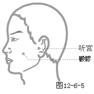 手太阳小肠经穴