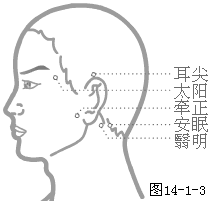 奇穴头颈部穴