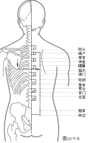 足太阴膀胱经穴