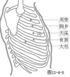 足太阴脾经穴