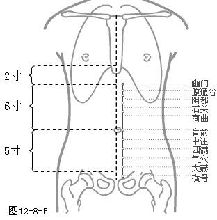 足少阴肾经穴