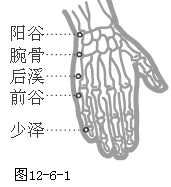 手太阳小肠经穴