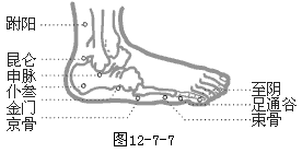 足太阴膀胱经穴