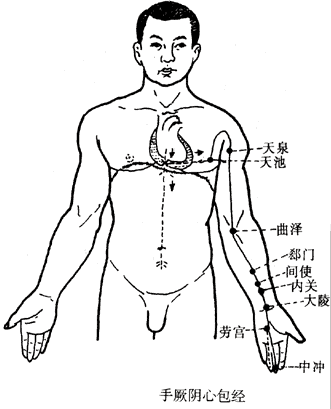 手厥阴心包经