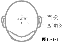 奇穴头颈部穴