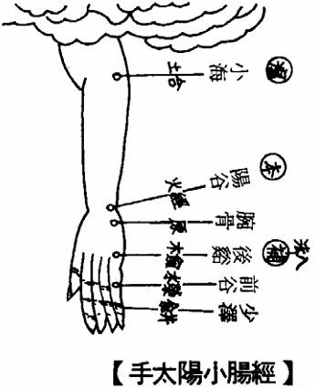 手太阳小肠经
