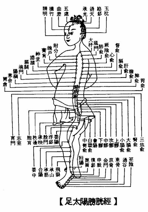 足太阳膀胱经