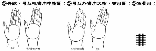 去蛇、弓反��向中指�；弓反外�向大指、�形�；�骨形：