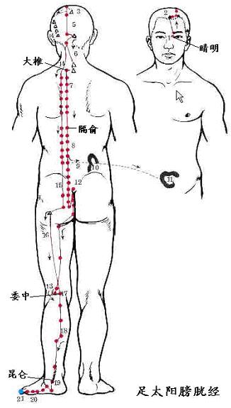 足太阳膀胱经