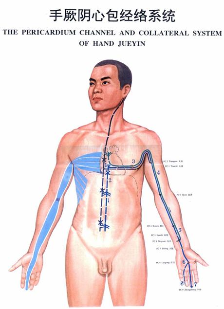 手厥阴心包络经穴分寸歌